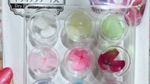 またまた新商品？100均のドライフラワーが大きくなって進化しているのでメモ【ダイソー、キャンドゥ、セリア】