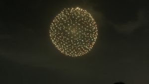 板橋花火大会に行ったら暑さと混雑と虫と草で死にそうになったけど花火は大迫力で楽しかったです